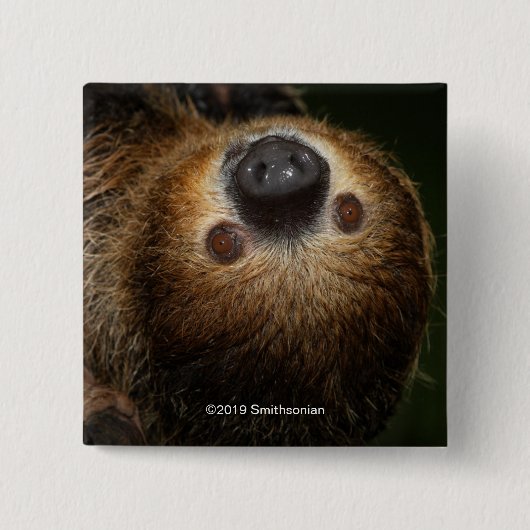 Zuidelijke tweesporige sleuf vierkante button 5,1 cm (Voorkant)