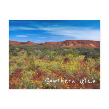 Zuidelijke Utah Wildbloemen