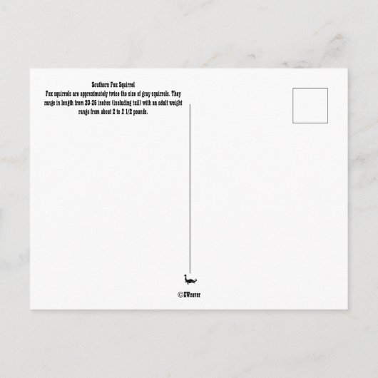 Zuidelijke vos-eekhoorn briefkaart (Achterkant)