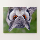 Zuidelijke witte ooivogels van Prey Puzzle Legpuzzel (Horizontaal)