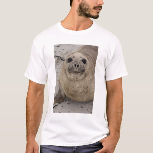 Zuidelijke zeeolifant Mirounga leonina) T-shirt