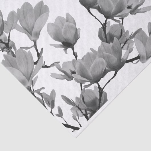 Zuidelijke Zwarte en Witte Magnolia Flowers Tissuepapier (Detail)
