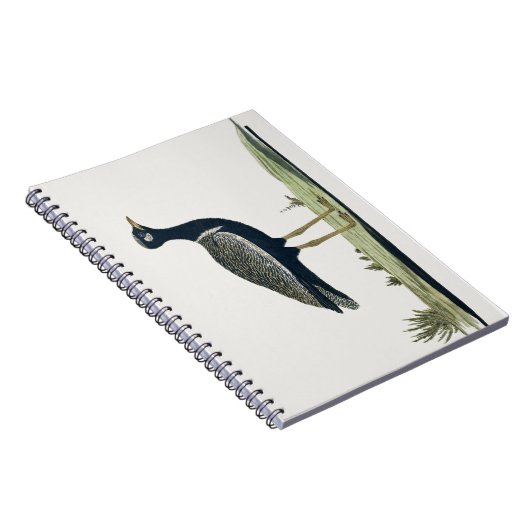 Zuidelijke Zwarte Korhaan - Notitieboek (Rechterzijde)