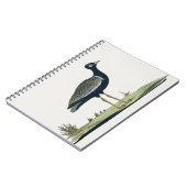 Zuidelijke Zwarte Korhaan - Notitieboek (Linkerzijde)