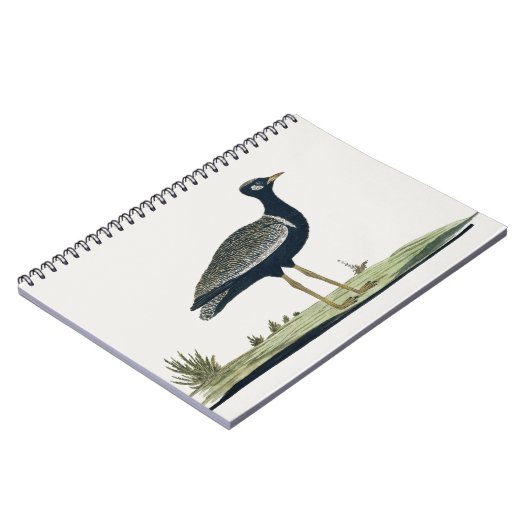 Zuidelijke Zwarte Korhaan - Notitieboek (Linkerzijde)