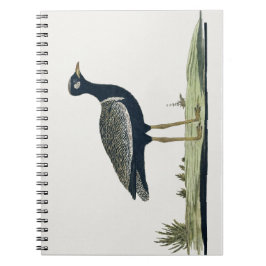 Zuidelijke Zwarte Korhaan - Notitieboek