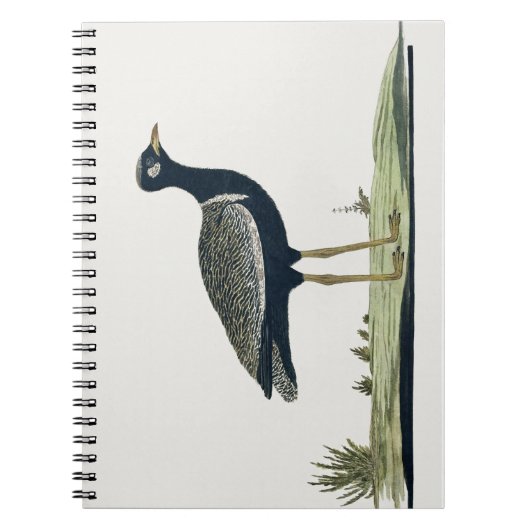 Zuidelijke Zwarte Korhaan - Notitieboek (Voorkant)