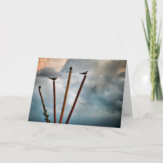 Zuiden Sulawesi Kaart