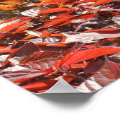 ZUIDFLORIDA-POSTER POSTER (Hoek)