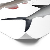 Zuidoost-Azië — Freshwater Fish Group Poster (Hoek)