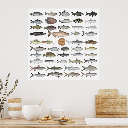 Zuidoost-Azië — Freshwater Fish Group Poster (Keuken)
