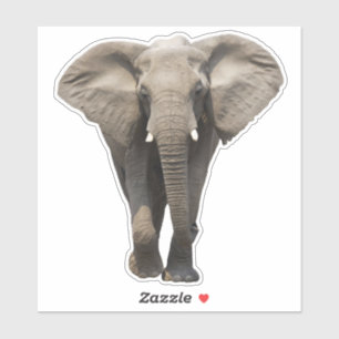 Zuidoost-Azië Sticker