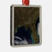 Zuidoost-Verenigde Staten Metalen Ornament (Rechts)