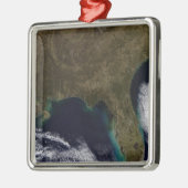 Zuidoost-Verenigde Staten Metalen Ornament (Links)