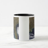 Zuidoost-Verenigde Staten Mok (Midden)