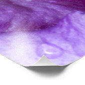 Zuidoost-Vietnam. Sluiting van mossy boomkikker Foto Afdruk (Hoek)