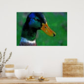 Zuidwaartse Mallard Print (Keuken)