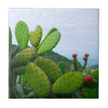 Zuidwest Cactus Prickly Pear Succulent Desert Tegeltje<br><div class="desc">Dit ontwerp werd gecreeerd door digitale kunst. Het kan worden gepersonaliseerd door de aanpassingsknoop te klikken en de kleur te veranderen, een naam, initialen of uw favoriete woorden toe te voegen. Neem contact met me op colorflowcreations@gmail.com als je dit ontwerp op een ander product wilt gebruiken. Koop mijn oorspronkelijke abstracte...</div>
