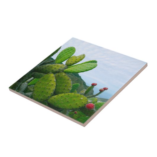 Zuidwest Cactus Prickly Pear Succulent Desert Tegeltje (Zijkant)