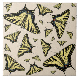 Zuidwest-gele kanonstaart tegeltje