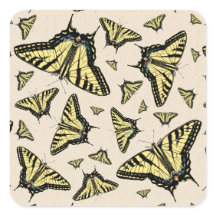 Zuidwest-gele kanonstaart