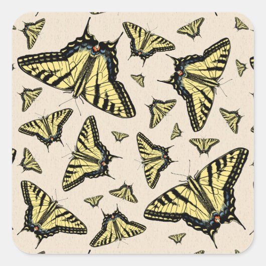 Zuidwest-gele kanonstaart vierkante sticker (Voorkant)