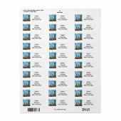 Zuidwest Saguaro Cactus Woestijn Landschap Adres Etiket (Full Sheet)