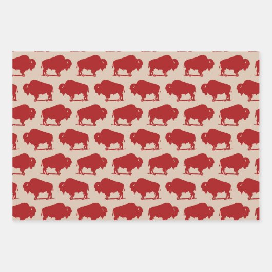 zuidwestelijk buffelpatroon inpakpapier vel (Voorkant)