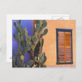 Zuidwestelijke Cactus (Opuntia dejecta) en Briefkaart (Voorkant / Achterkant)