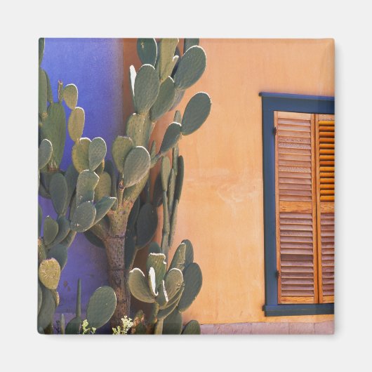 Zuidwestelijke Cactus (Opuntia dejecta) en Magneet (Voorkant)