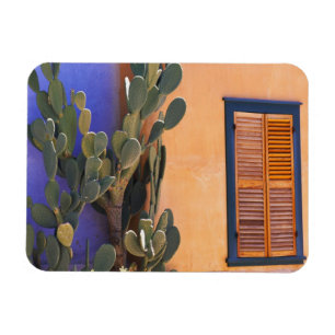 Zuidwestelijke Cactus (Opuntia dejecta) en Magneet