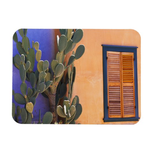 Zuidwestelijke Cactus (Opuntia dejecta) en Magneet (Horizontaal)
