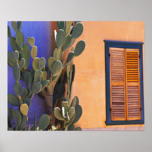 Zuidwestelijke Cactus (Opuntia dejecta) en Poster (Voorkant)