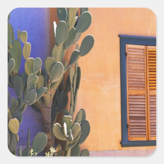 Zuidwestelijke Cactus (Opuntia dejecta) en Vierkante Sticker (Voorkant)