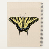Zuidwestelijke Gele Swallowtail Vlinder   Planner (Achterkant)