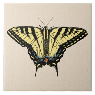 Zuidwestelijke Gele Swallowtail Vlinder Tegeltje