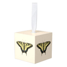 Zuidwestelijke gele zandstaartvlinder