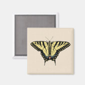 Zuidwestelijke gele zandstaartvlinder magneet (Voorkant / Achterkant)