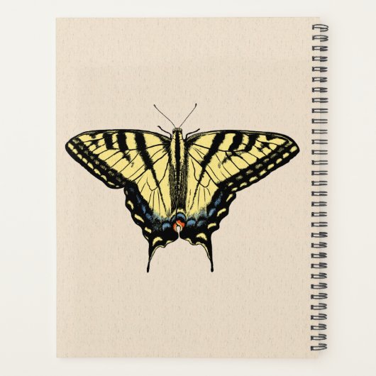 Zuidwestelijke gele zandstaartvlinder planner (Achterkant)