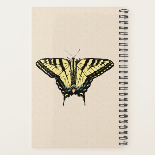 Zuidwestelijke gele zandstaartvlinder planner (Achterkant)