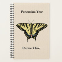 Zuidwestelijke gele zandstaartvlinder