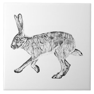 Zuidwestelijke Jackrabbit Pen en Ink Art Tegeltje