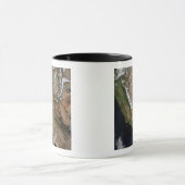 Zuidwestelijke Verenigde Staten Mok (Midden)