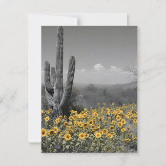 Zuidwestelijke Woestijn Saguaro Cactus en Zonneblo Briefkaart