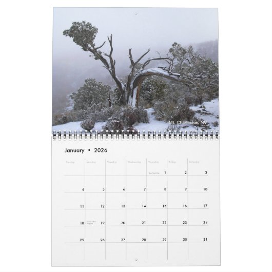 Zuidwesten VS Fine Art Photography 2026 Kalender (Jan 2026)