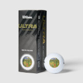 Zuidwesterse Kunst Golfballen (Verpakking)