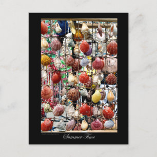 Zuidzeeschelpen op Paphos-Cyprus Briefkaart