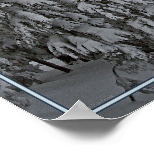 Zuidzuster van Bachelor Butte Poster (Hoek)