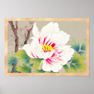 Zuigetsu Ikeda Pink Camellia japanese bloemkunst Poster