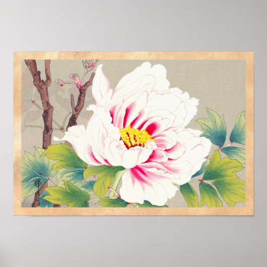 Zuigetsu Ikeda Pink Camellia japanese bloemkunst Poster (Voorkant)